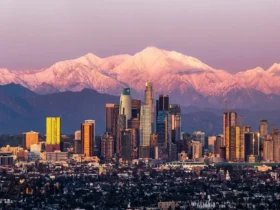 Los Angeles City In Usa